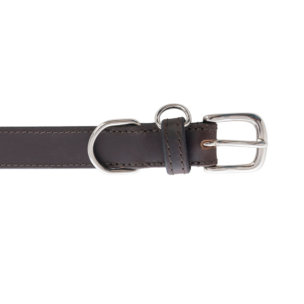 Collier Topside pour chien en ébène
