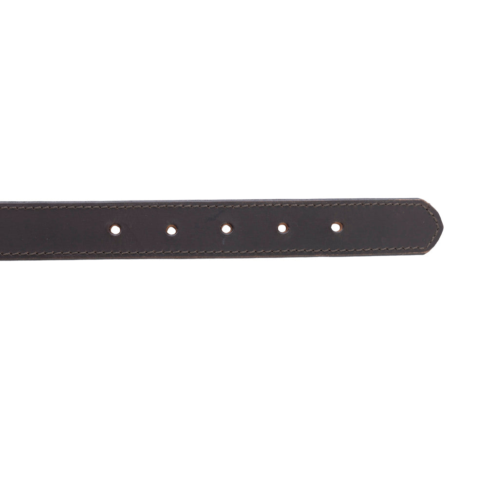Collier Topside pour chien en ébène