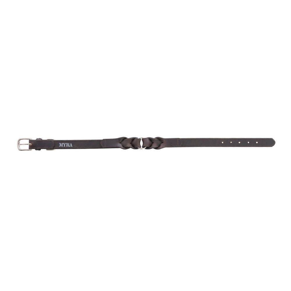 Collier Topside pour chien en ébène