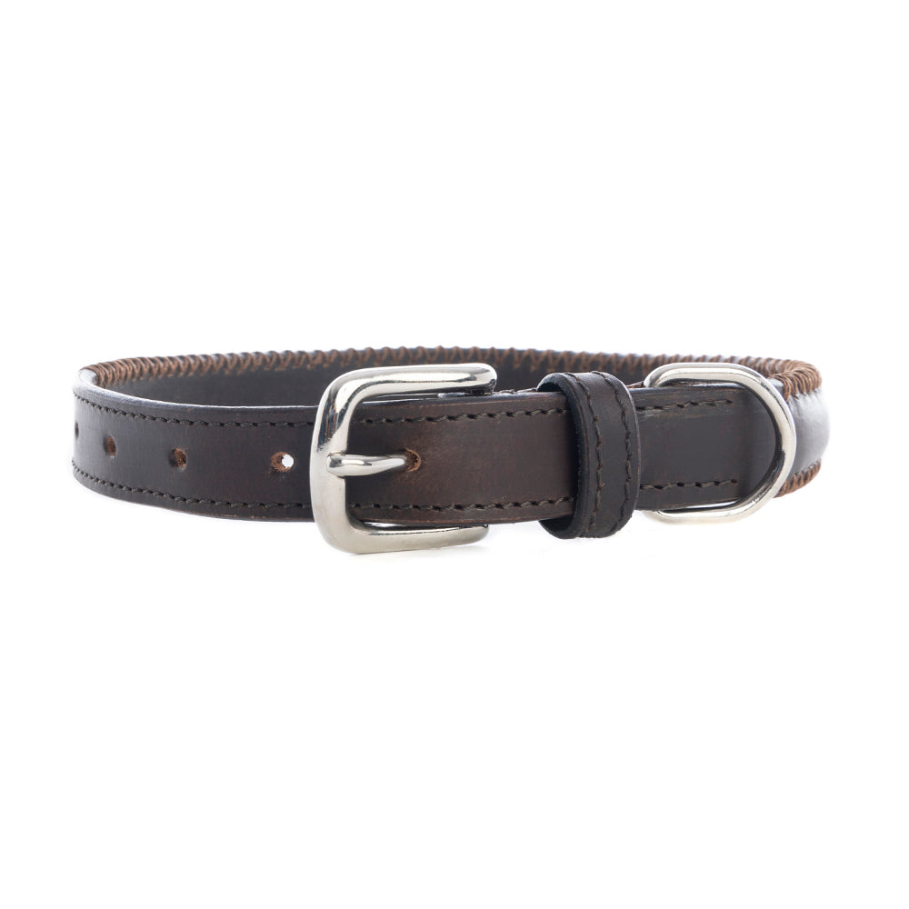 Collier pour chien Rio Correr en chocolat