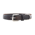Collier pour chien Rio Correr en chocolat