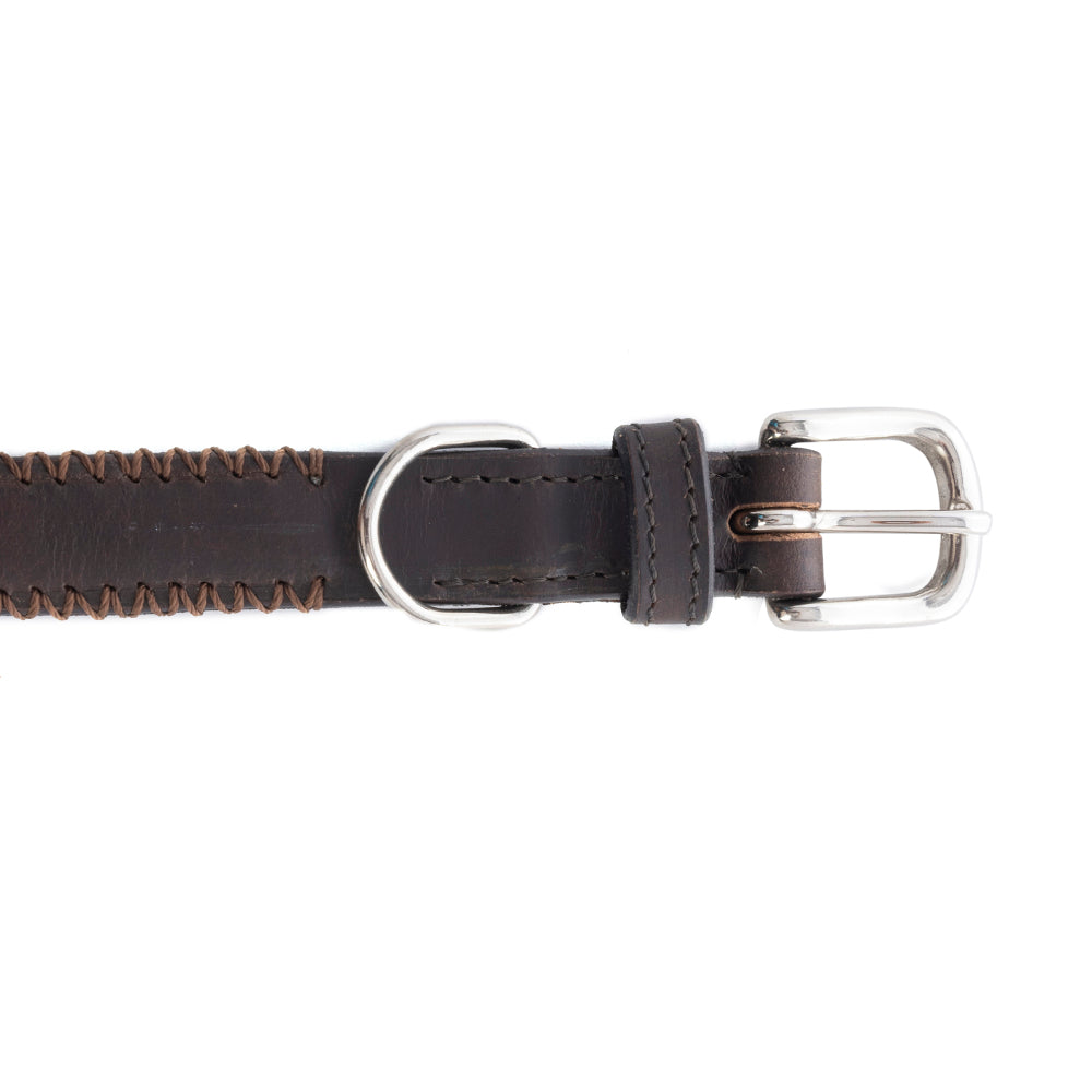 Collier pour chien Rio Correr en chocolat