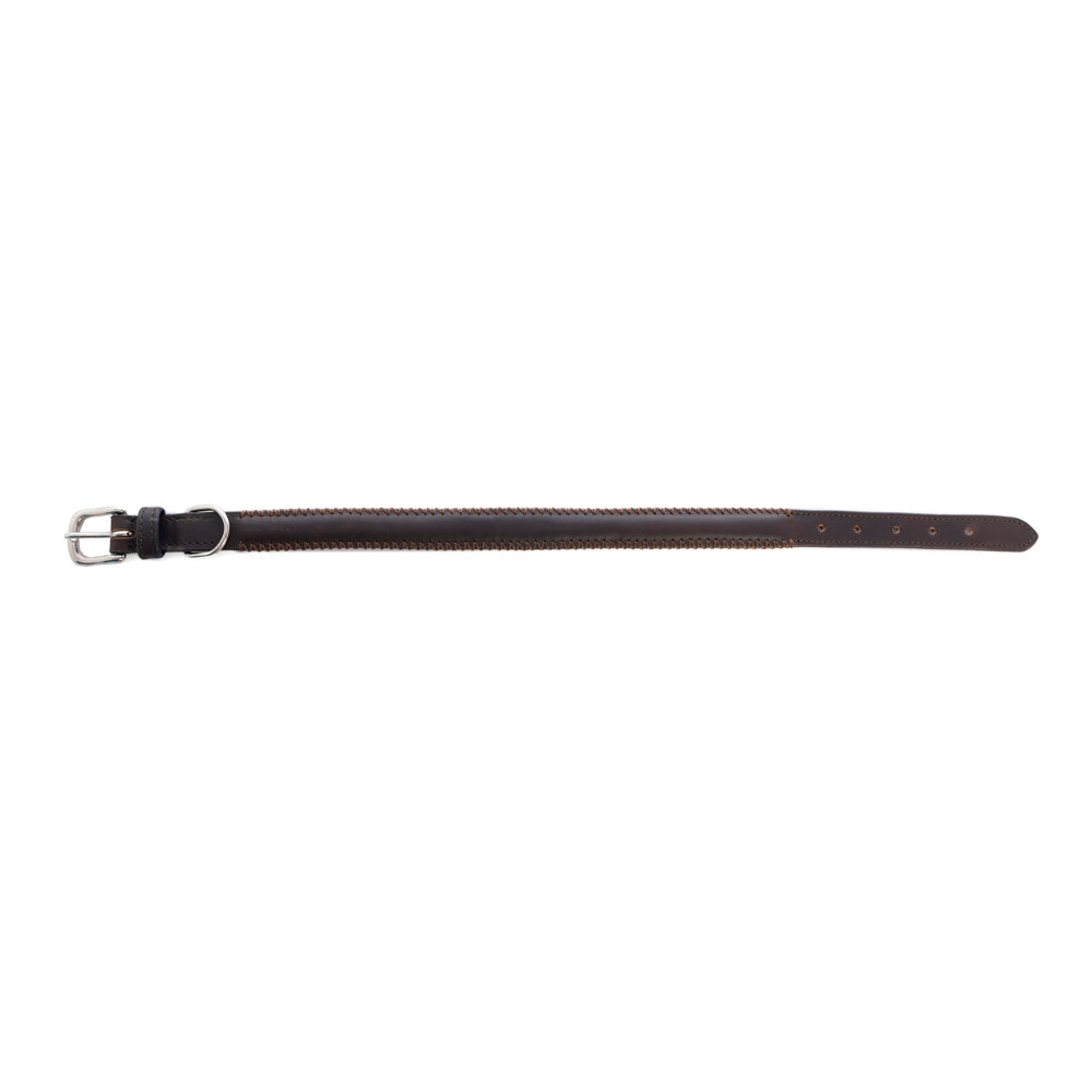 Collier pour chien Rio Correr en chocolat