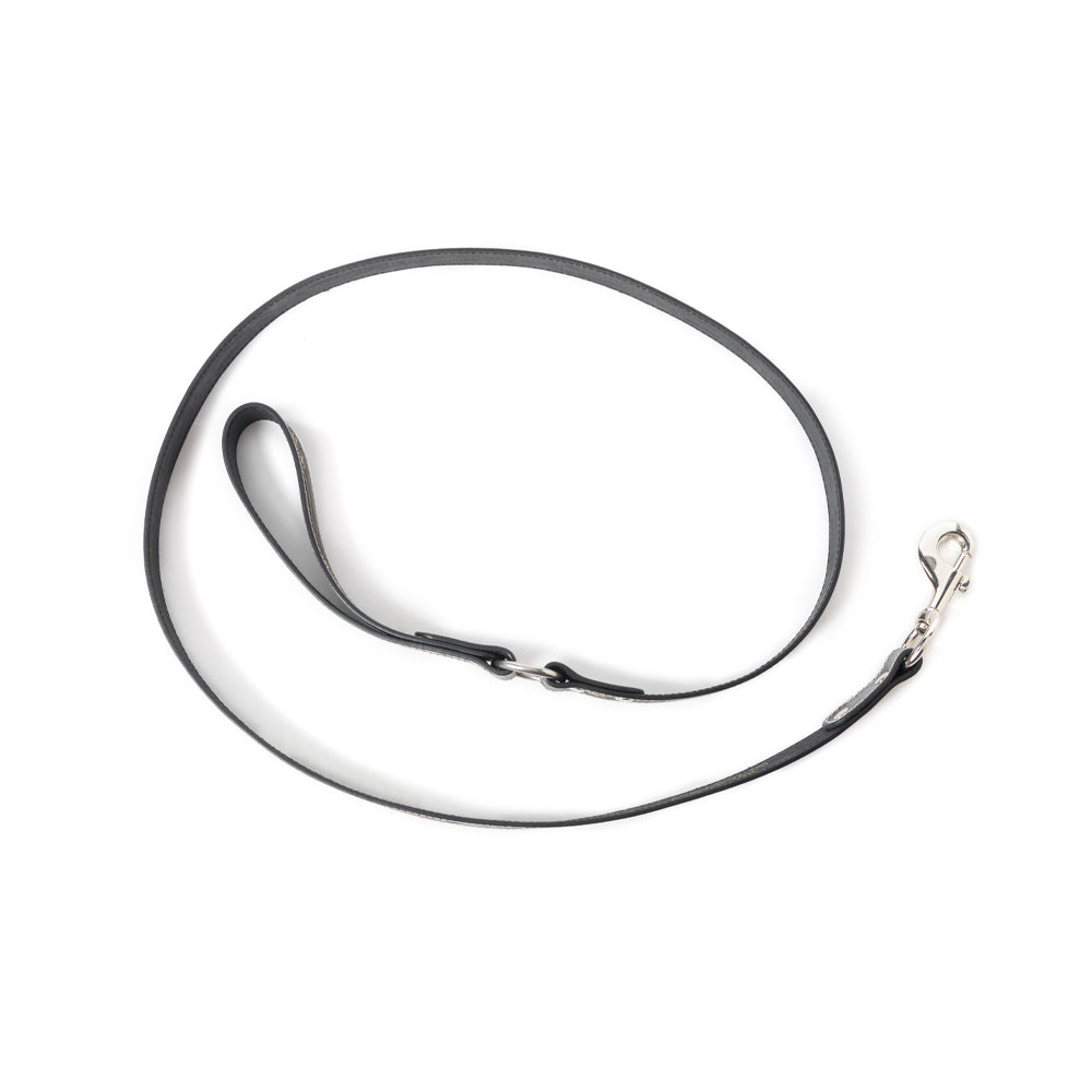 Laisse pour chien Luna Beam marron foncé