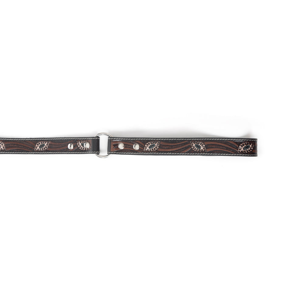 Laisse pour chien Luna Beam marron foncé