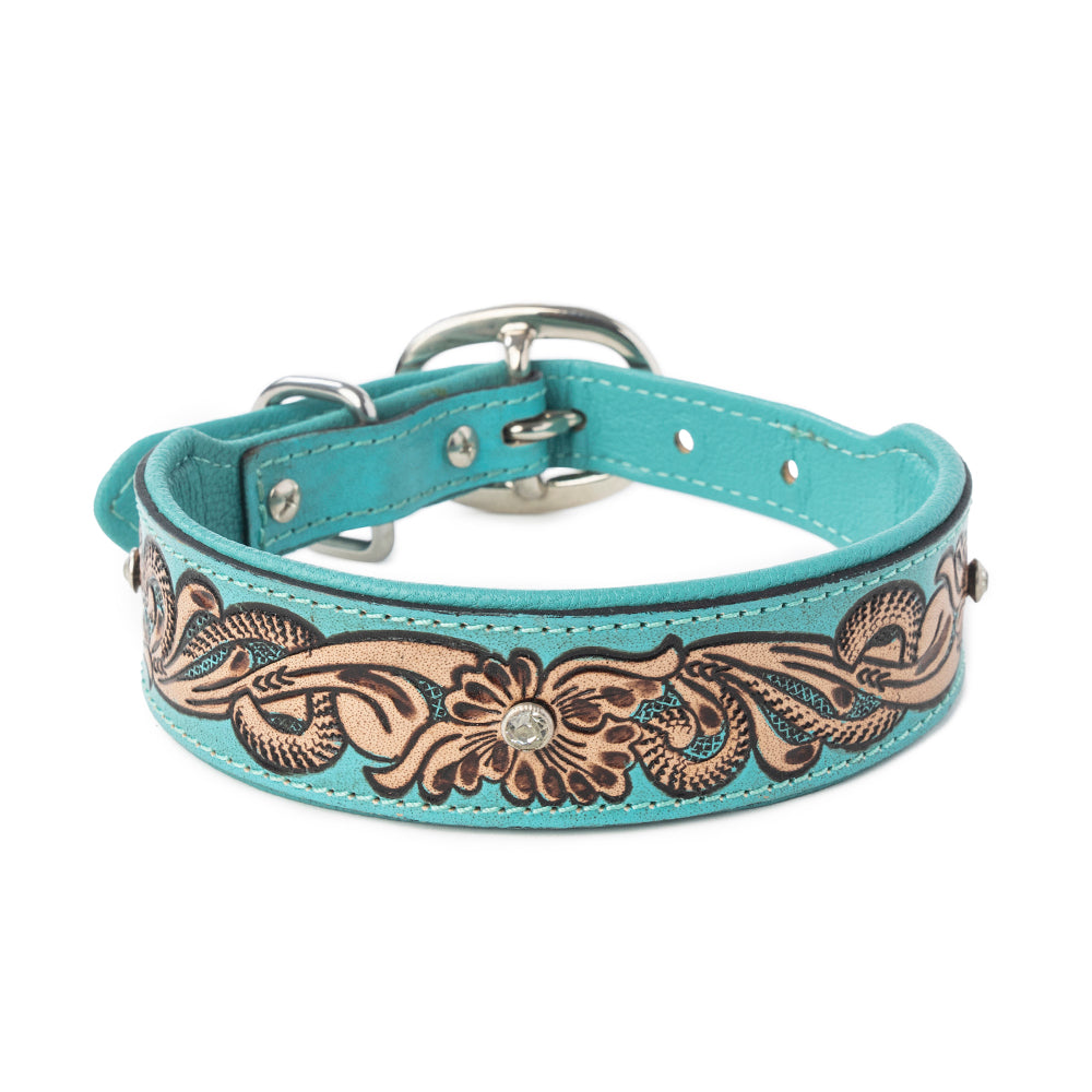 Collier pour chien Turquoise Sky Southwest, turquoise