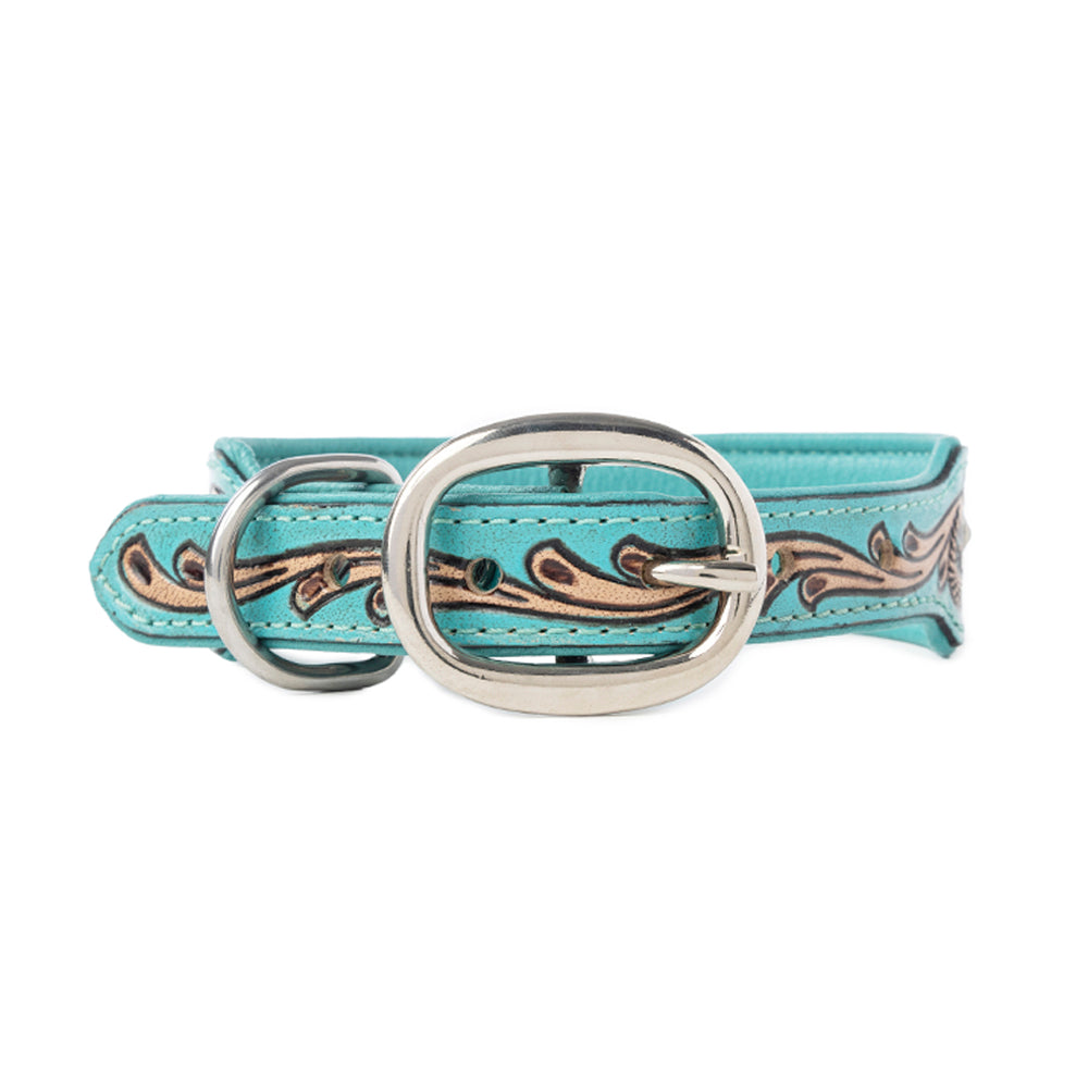 Collier pour chien Turquoise Sky Southwest, turquoise