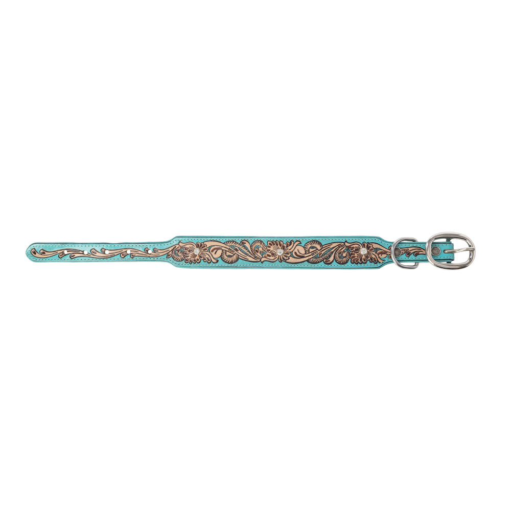 Collier pour chien Turquoise Sky Southwest, turquoise