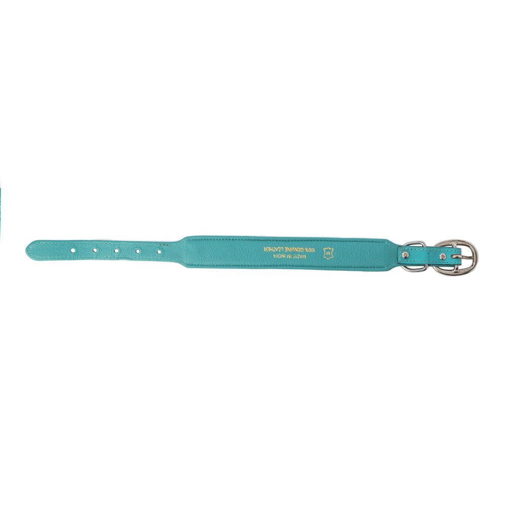 Collier pour chien Turquoise Sky Southwest, turquoise