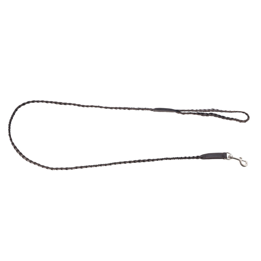 Laisse pour chien en cuir Trailbound marron rustique avec tressage et crochet métallique