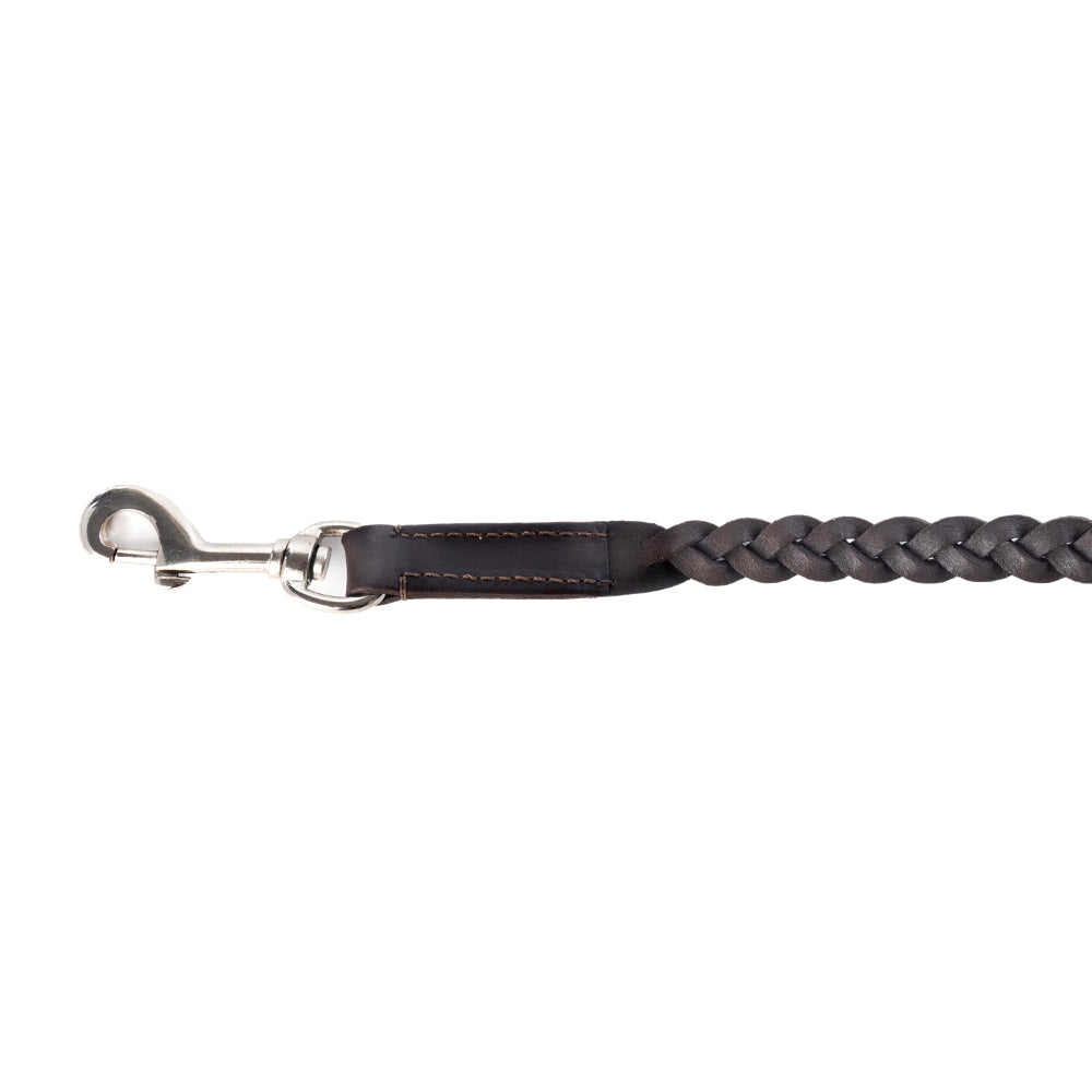 Laisse pour chien en cuir Trailbound marron rustique avec tressage et crochet métallique