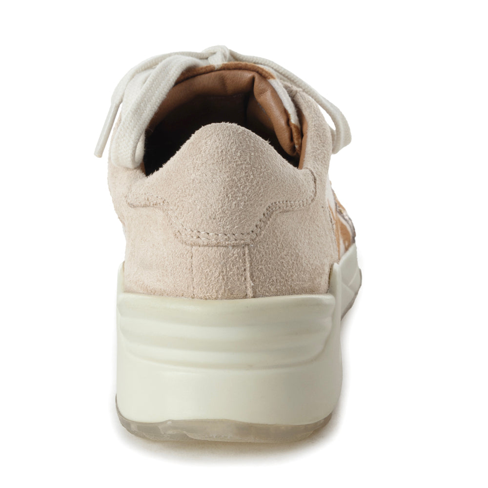 Baskets Luster