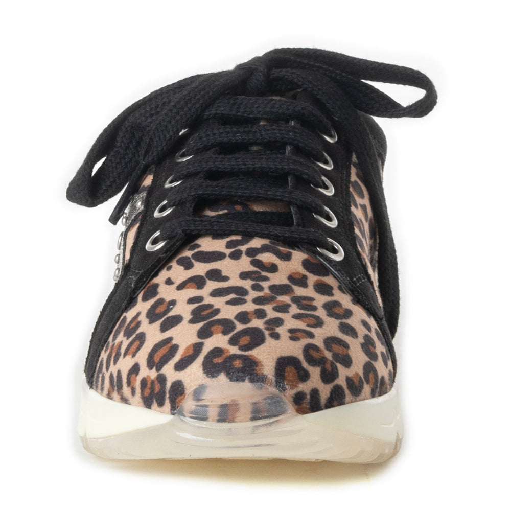 Baskets Titbit