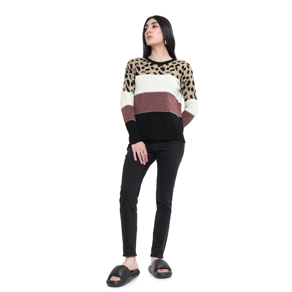 Pull Poissons PETIT