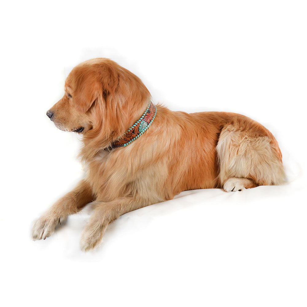 Collier pour chien en cuir repoussé "Full Bloom"