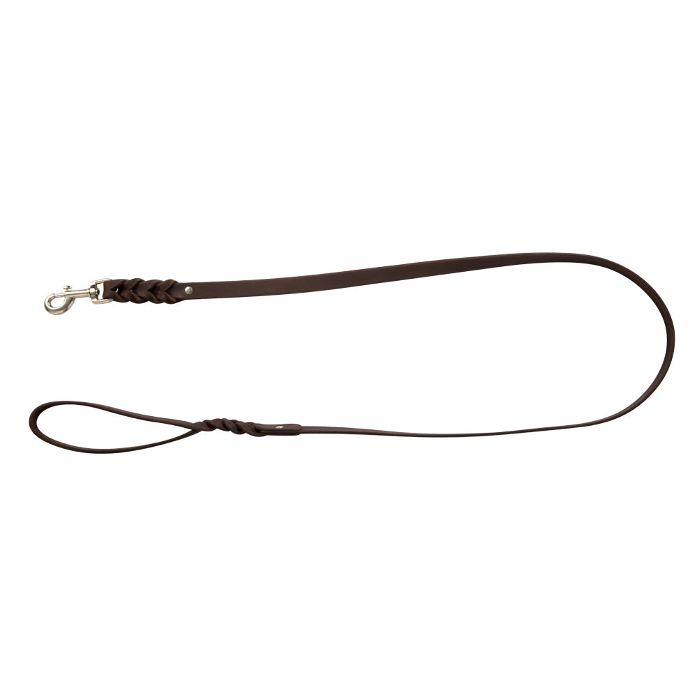 Laisse en cuir pour chien Aventurier