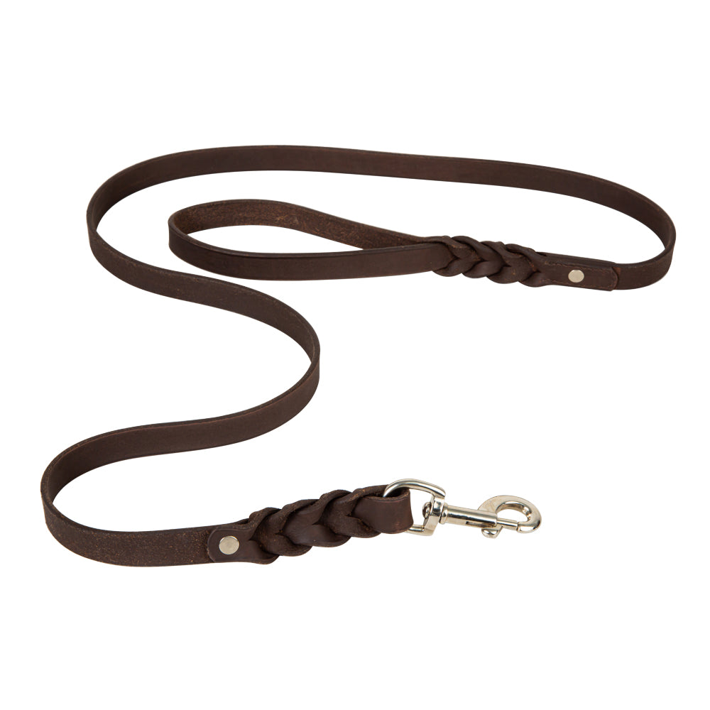 Laisse en cuir pour chien Aventurier