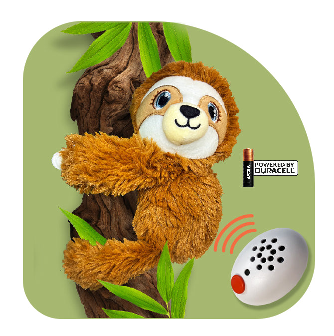 Baby Shusher Paresseux en peluche avec machine à sons + lot de 2 tétines Shushie