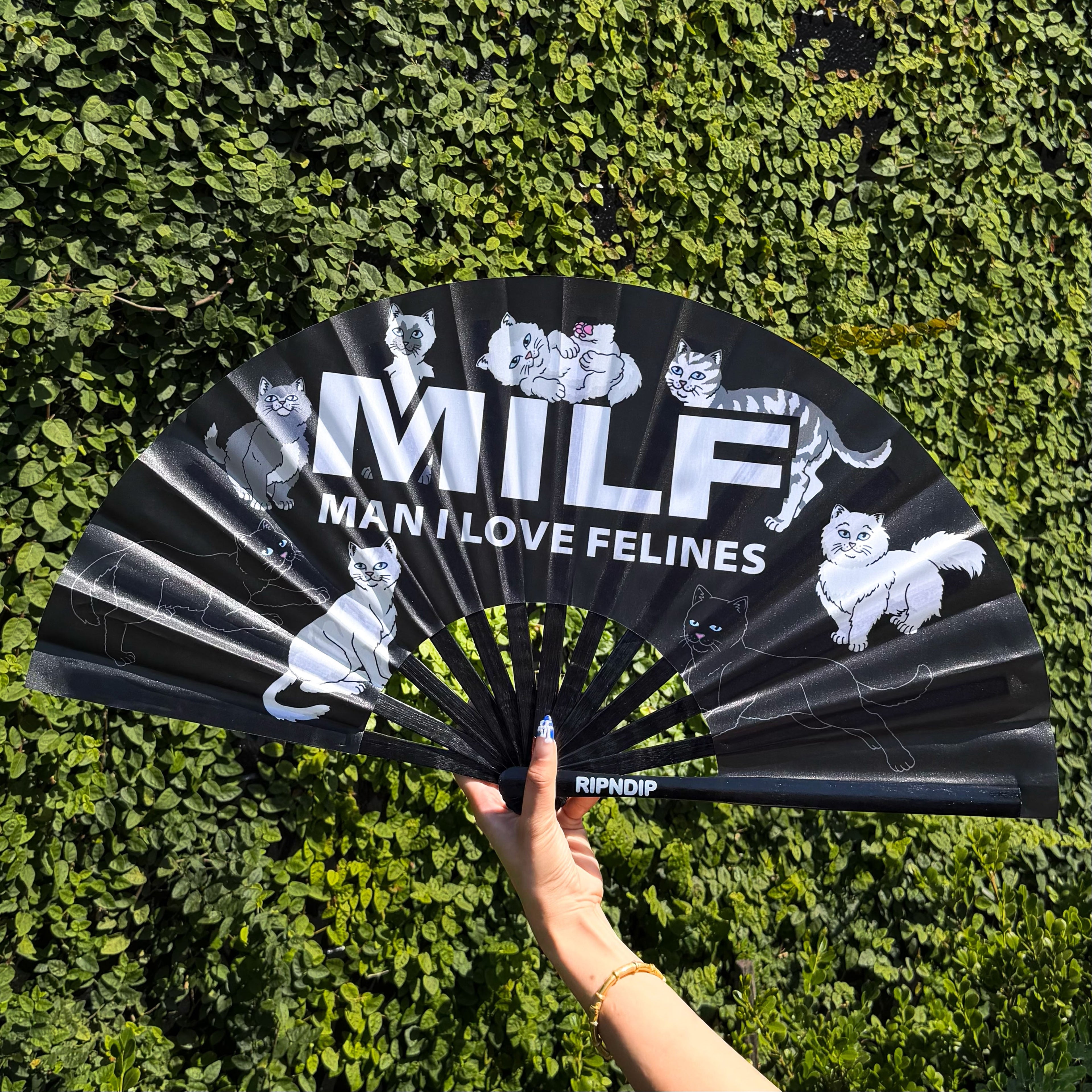 Man I Love Felines Fan (Black)