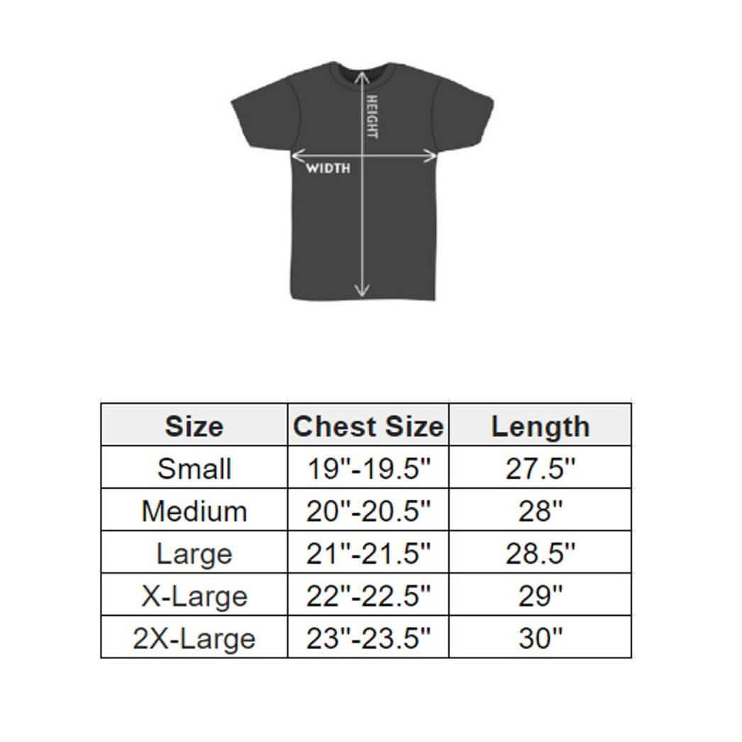 Lot de 5 T-shirts en coton pour hommes