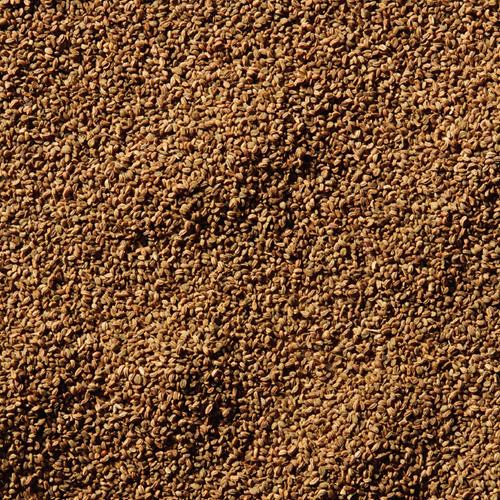 Graines de céleri McCormick, 27 g