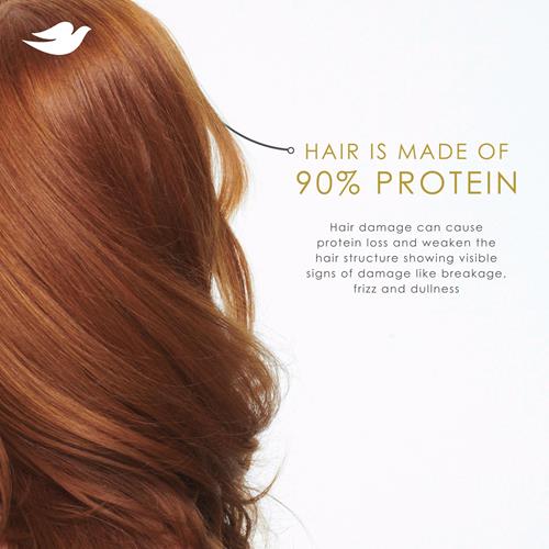 Dove Shampoo Réparation Intensive Pour Cheveux Abîmés Avec Technologie Bio-Protein Care Et Sérum Amino 12 Fl Oz