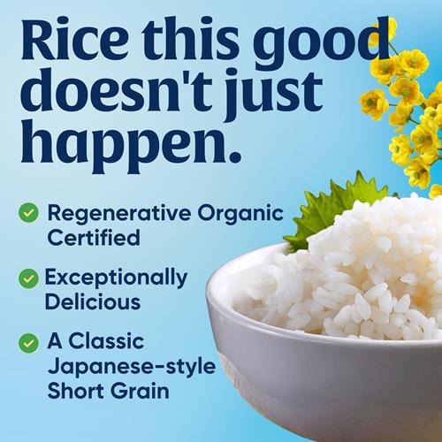 Riz pour Sushi Lundberg, Grains Courts Blancs Collants de Style Japonais, Certifié Biologique Régénérateur, 907 g