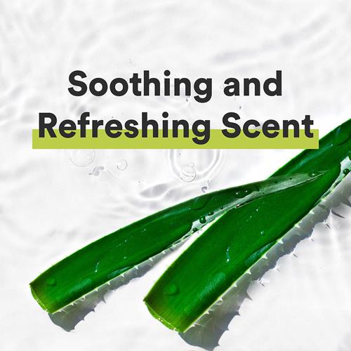 Shampooing, après-shampooing, gel douche 3 en 1 Suave Men pour cheveux et peau hydratés Aloès + Vitamine B7 828 ml