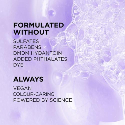 Shampooing hydratant sans sulfate L’Oréal Paris, soins capillaires pour cheveux colorés aux extraits botaniques de romarin, Everpure, 250 ml