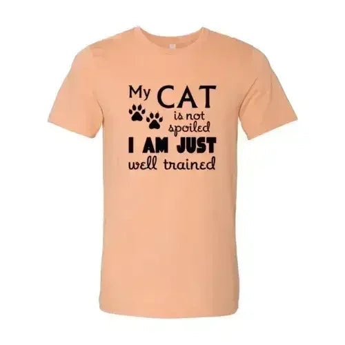 DT0175 Ma chemise Mon chat n'est pas gâté