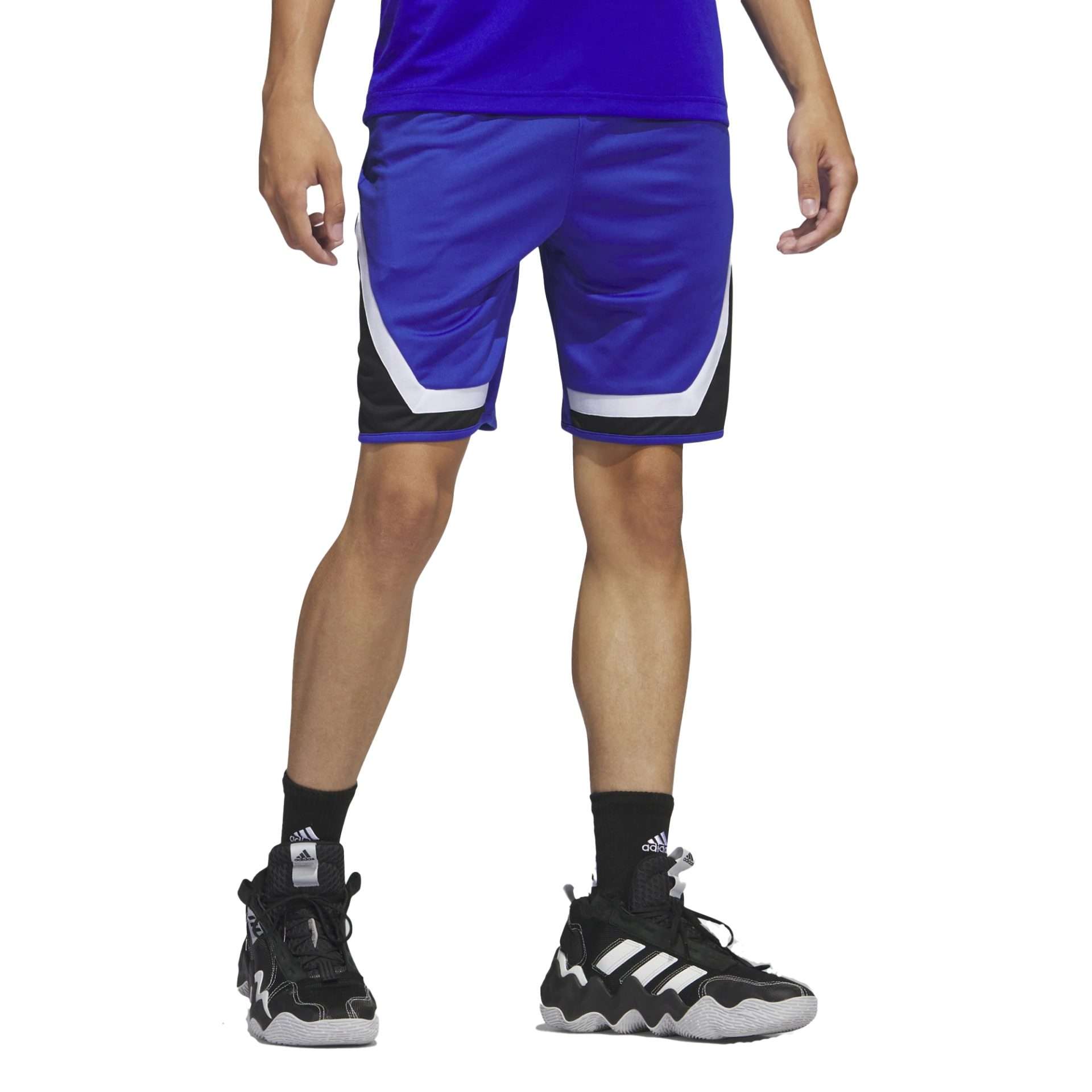 Short de basketball adidas Pro Block pour homme - Semi-bleu lucide / Blanc