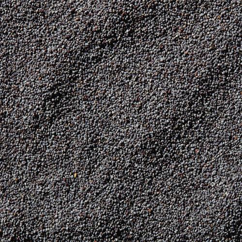 Graines de Pavot McCormick, 35 g