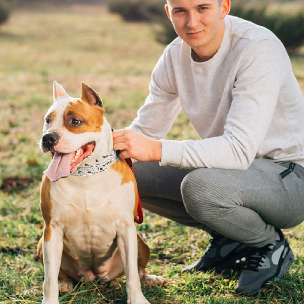 Chaîne de dressage étrangleuse réglable pour chien