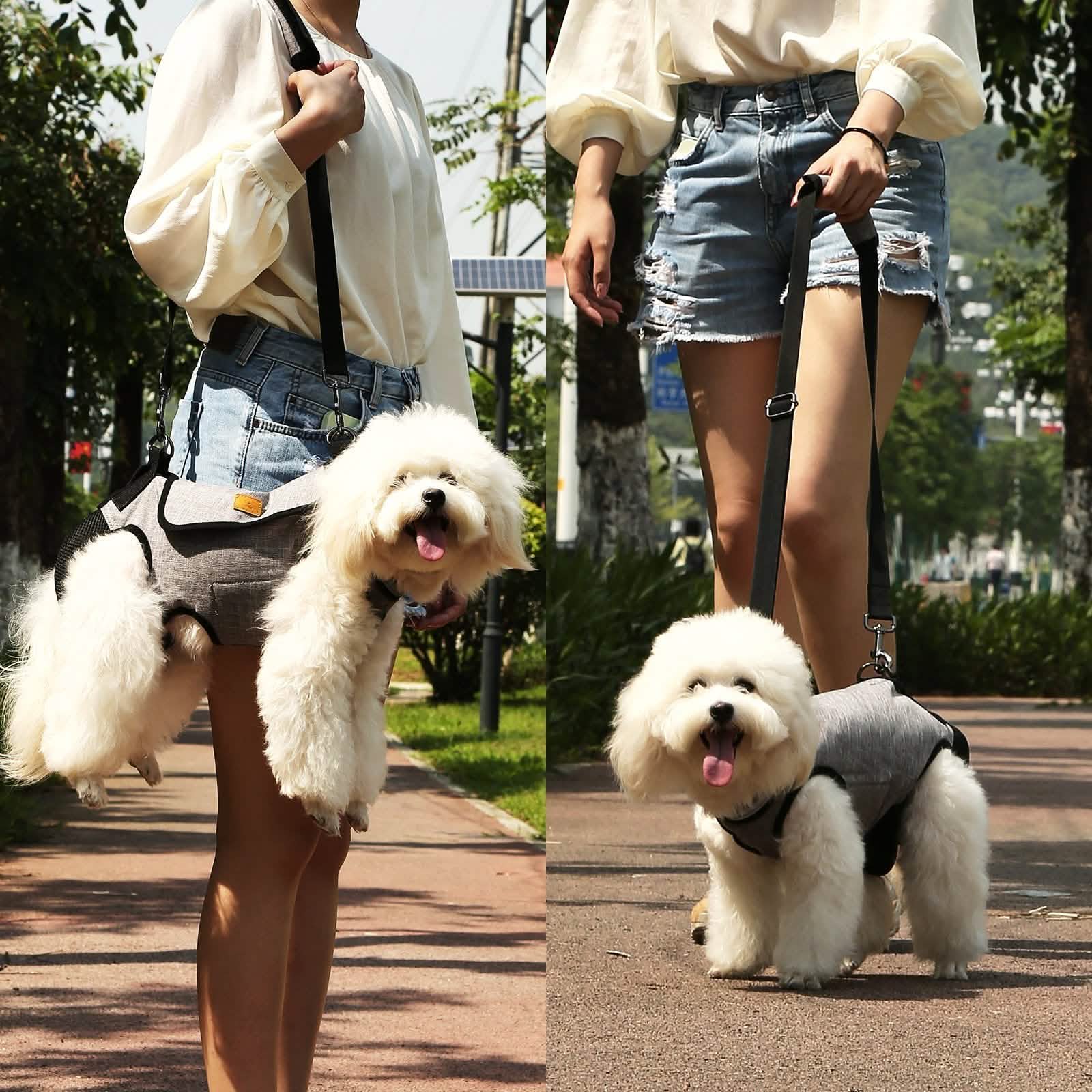 Harnais de levage réglable pour chien