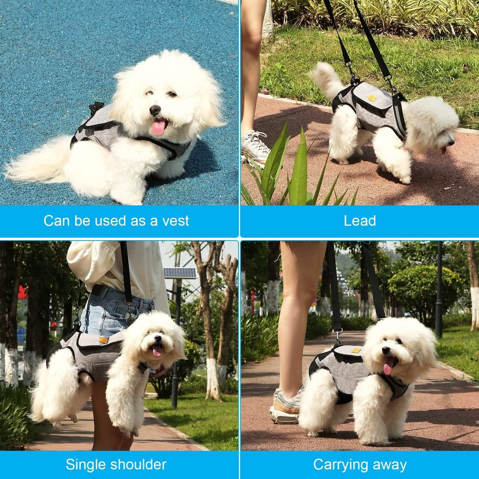 Harnais de levage réglable pour chien