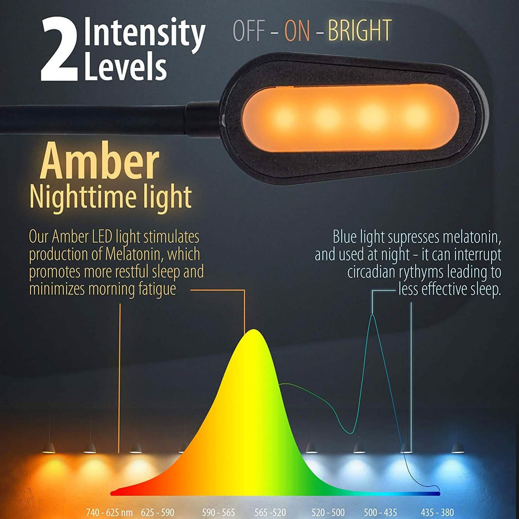 Kit Lampe de Lecture Rechargeable Tout-en-un