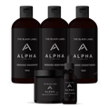 L'ensemble de direction Alpha
