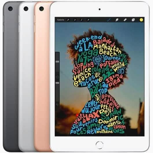 Apple iPad Mini 5e génération (2019) WiFi (reconditionné)