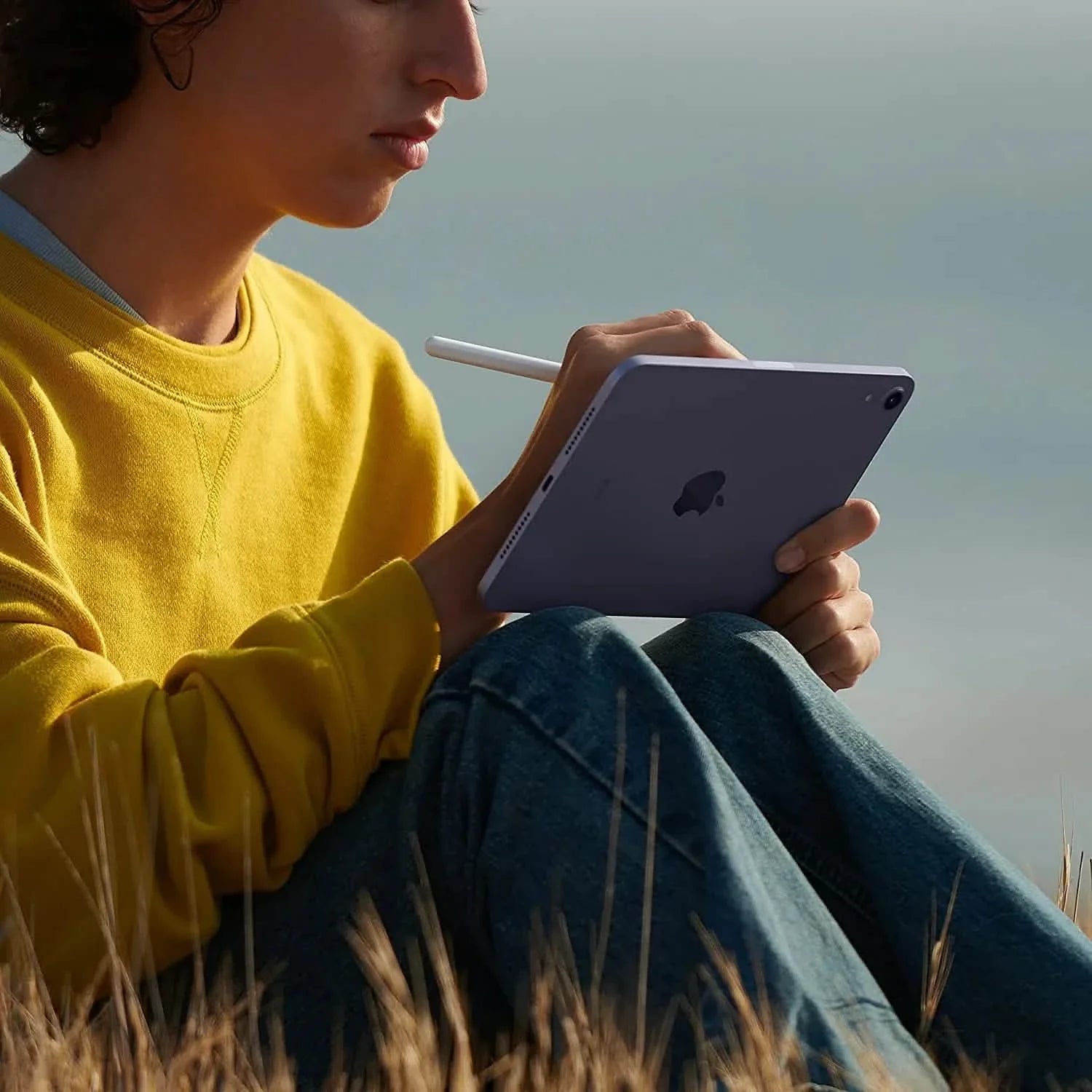 Apple iPad Mini 6 (8,3 pouces, Wi-Fi, 64 Go) Gris sidéral (Reconditionné)