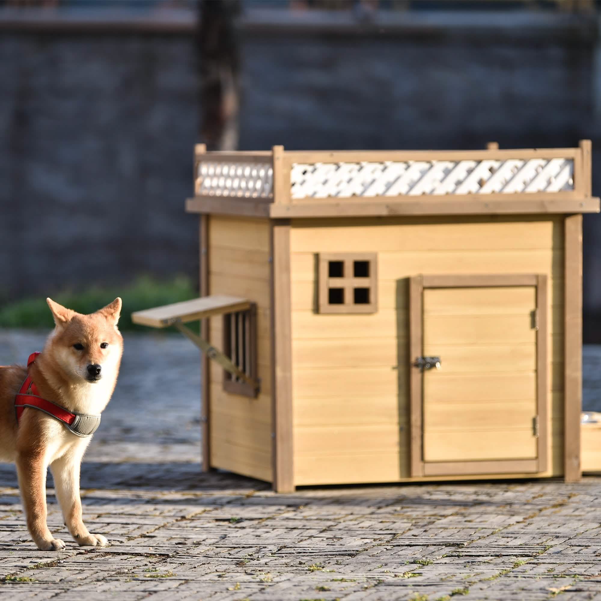 Niche pour Chien en Bois Aukfa 39,4" Abri pour Chiot Chenil Cage pour Chien Extérieure et Intérieure