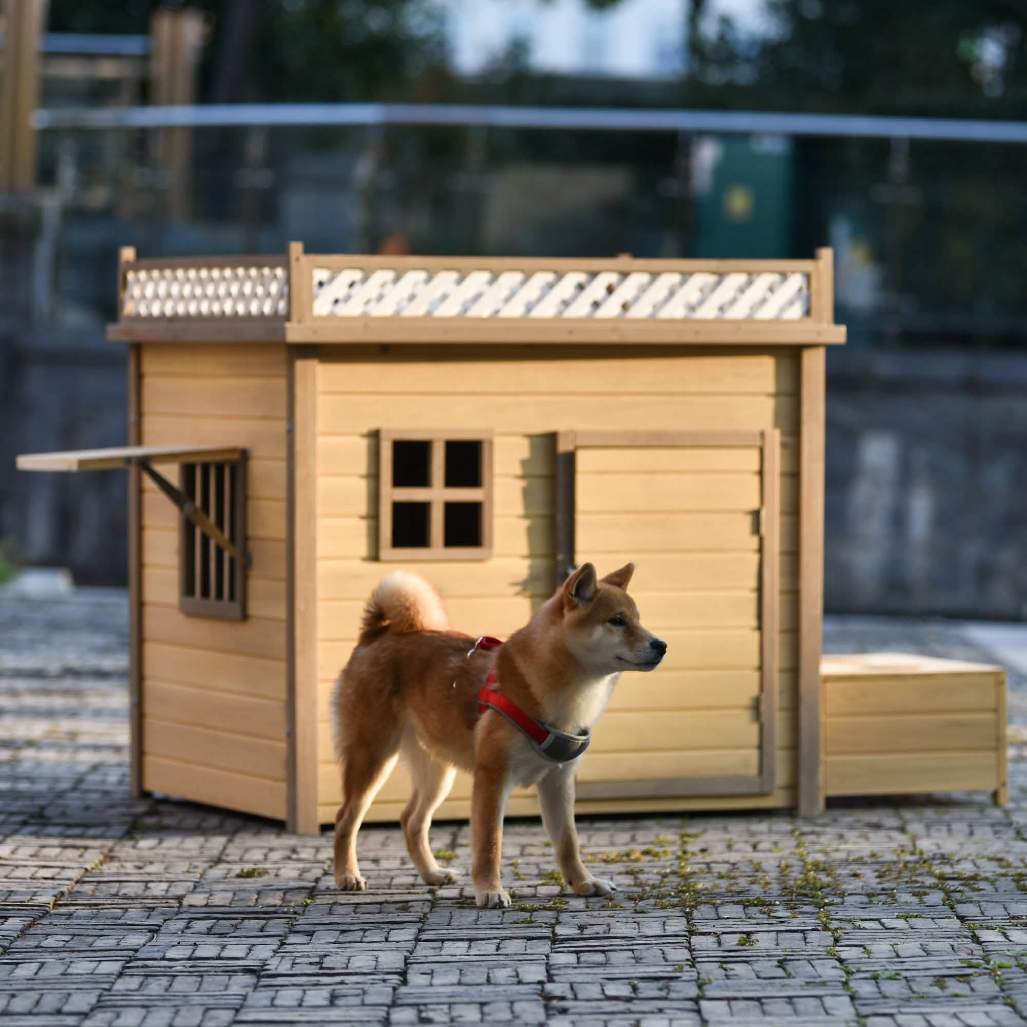 Niche pour Chien en Bois Aukfa 39,4" Abri pour Chiot Chenil Cage pour Chien Extérieure et Intérieure