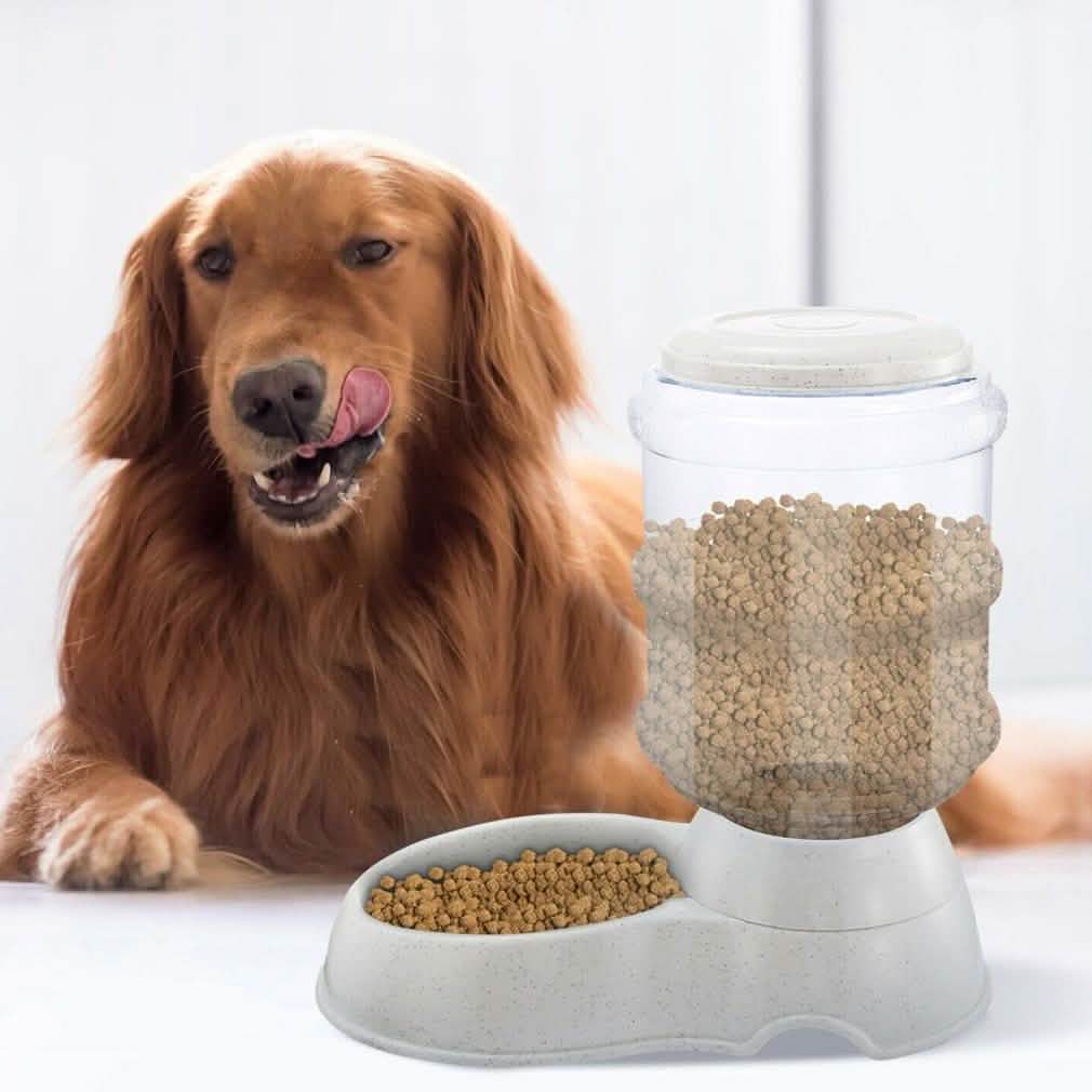 Distributeur Automatique de Nourriture pour Animaux Domestiques par Gravité
