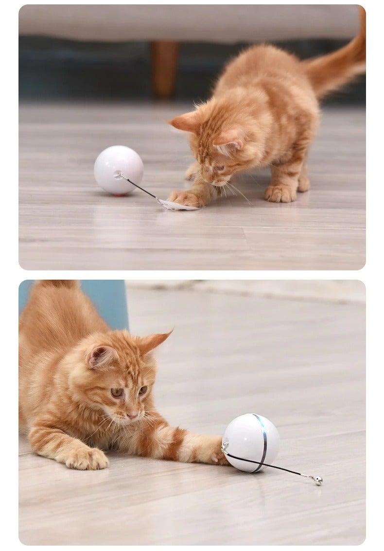 Jouets intelligents automatiques pour chats, balle interactive à herbe à chat, rechargeable par USB, auto-rotative, LED colorée, plume, clochettes pour chats et chatons, lumière LED tournante intégrée stimulant l'instinct de chasse.