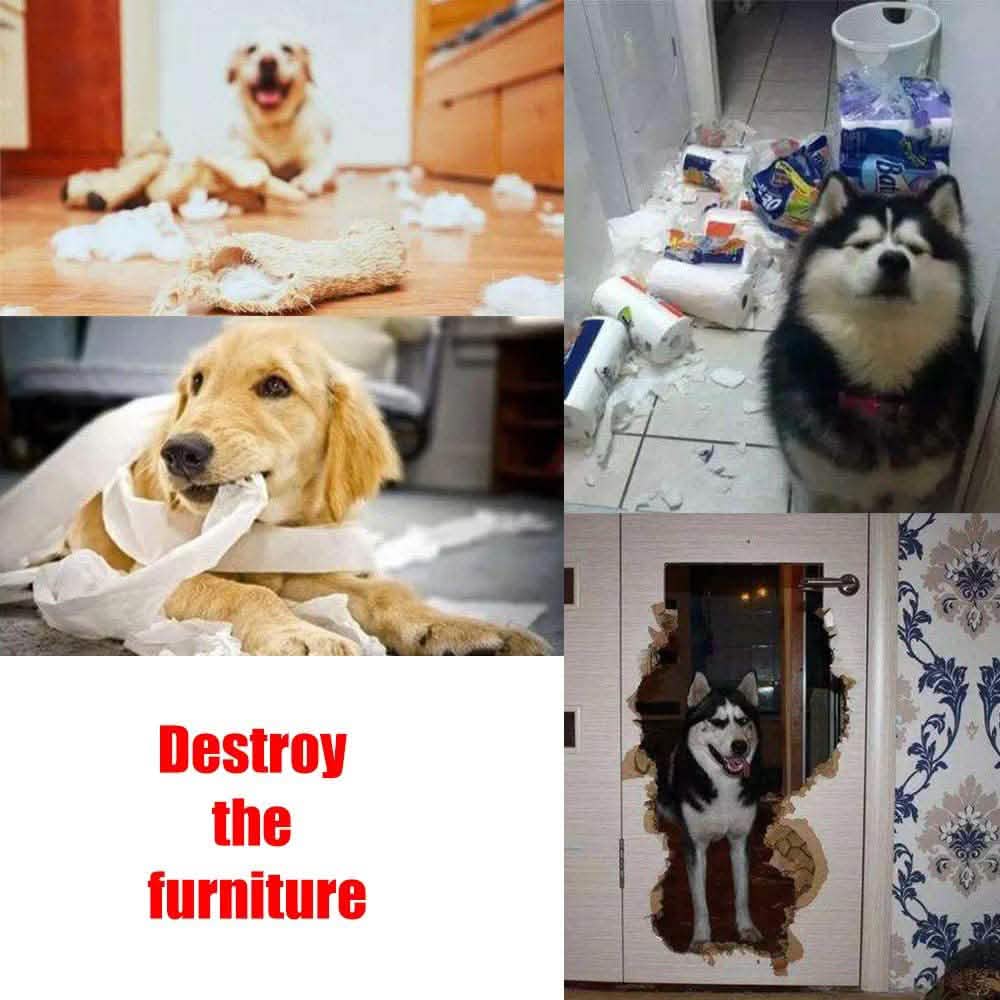 Tapis de Fouille AWOOF pour Chiens