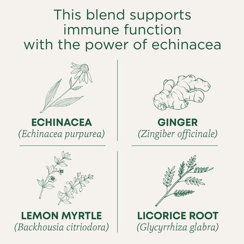 Traditional Medicinals Organic Immune Zoom Lemon Ginger Tea - 16 Ct.