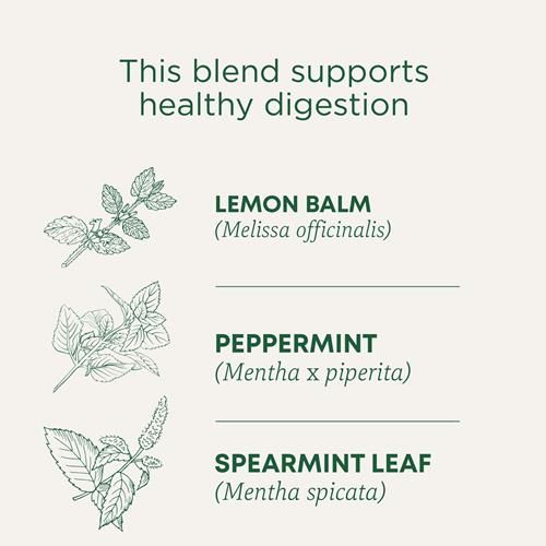 Traditional Medicinals Tea, Organic Triple Mint, Supports Healthy Digestion, Includes 16 Tea Bags