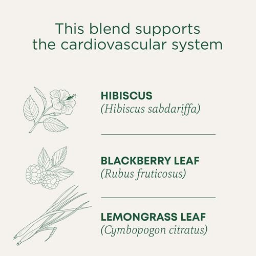 Thé Traditional Medicinals, Hibiscus Bio, Soutient Votre Système Cardiovasculaire, 16 Sachets de Thé