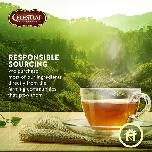 Celestial Seasonings Herbal Tea, Sleepytime, 20 Count