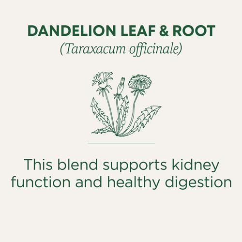 Tisane Traditional Medicinals, Pissenlit Bio (Feuilles et Racine), Soutient la Fonction Rénale et une Digestion Saine, 16 Sachets de Thé