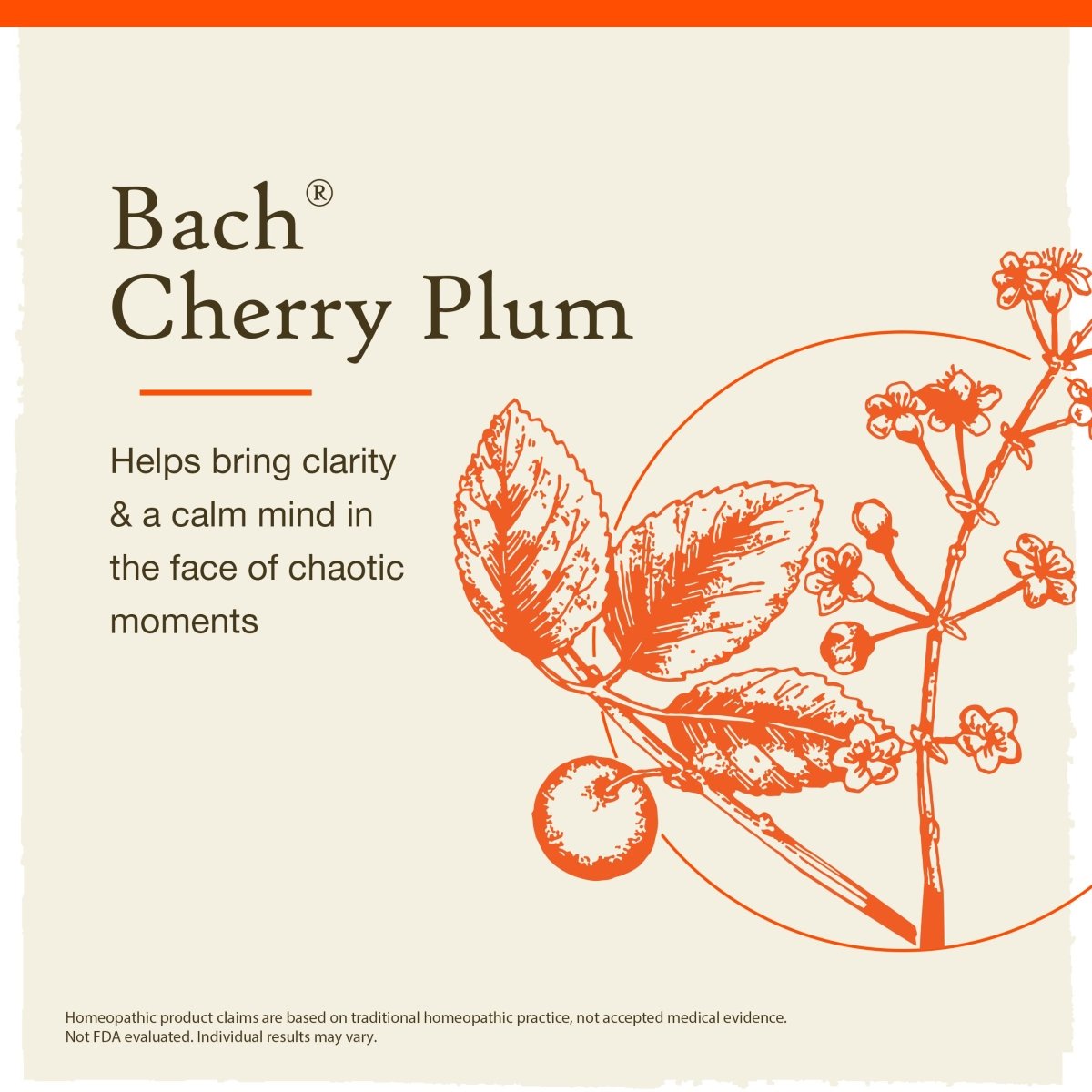 Fleur de Bach Prunier 20mL